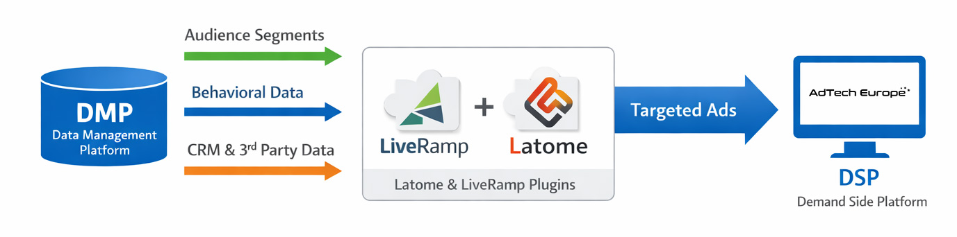 What Is a DMP and Why It Matters